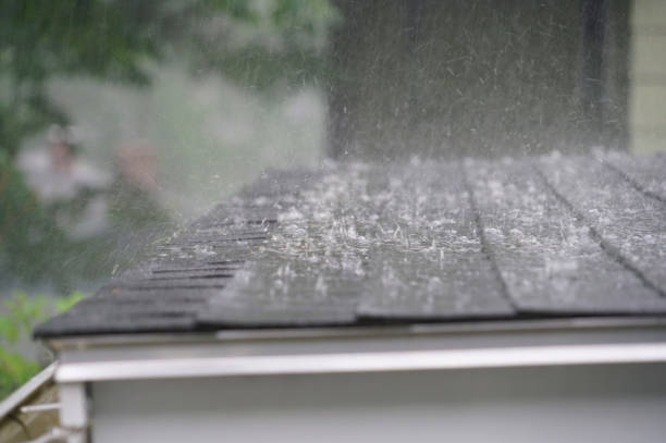 Best Emergency Roof Repair Services  in Marion, MT