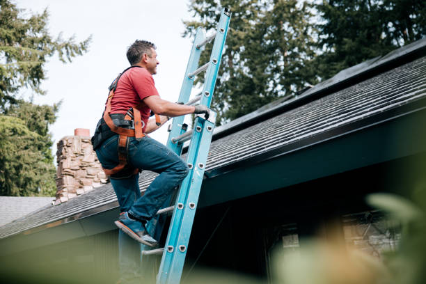 Best Roof Ventilation Installation  in Marion, MT