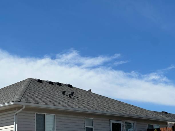 Best Roofing for New Construction  in Marion, MT