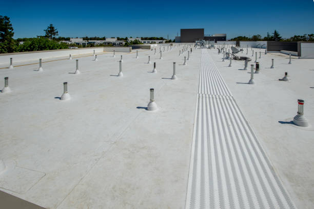 Best Roof Ventilation Installation  in Marion, MT